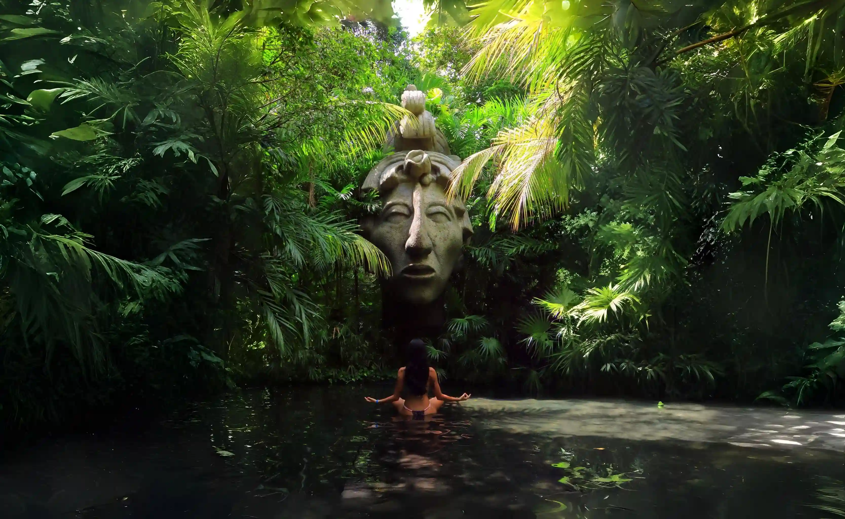 AulonaFlows Hero Background