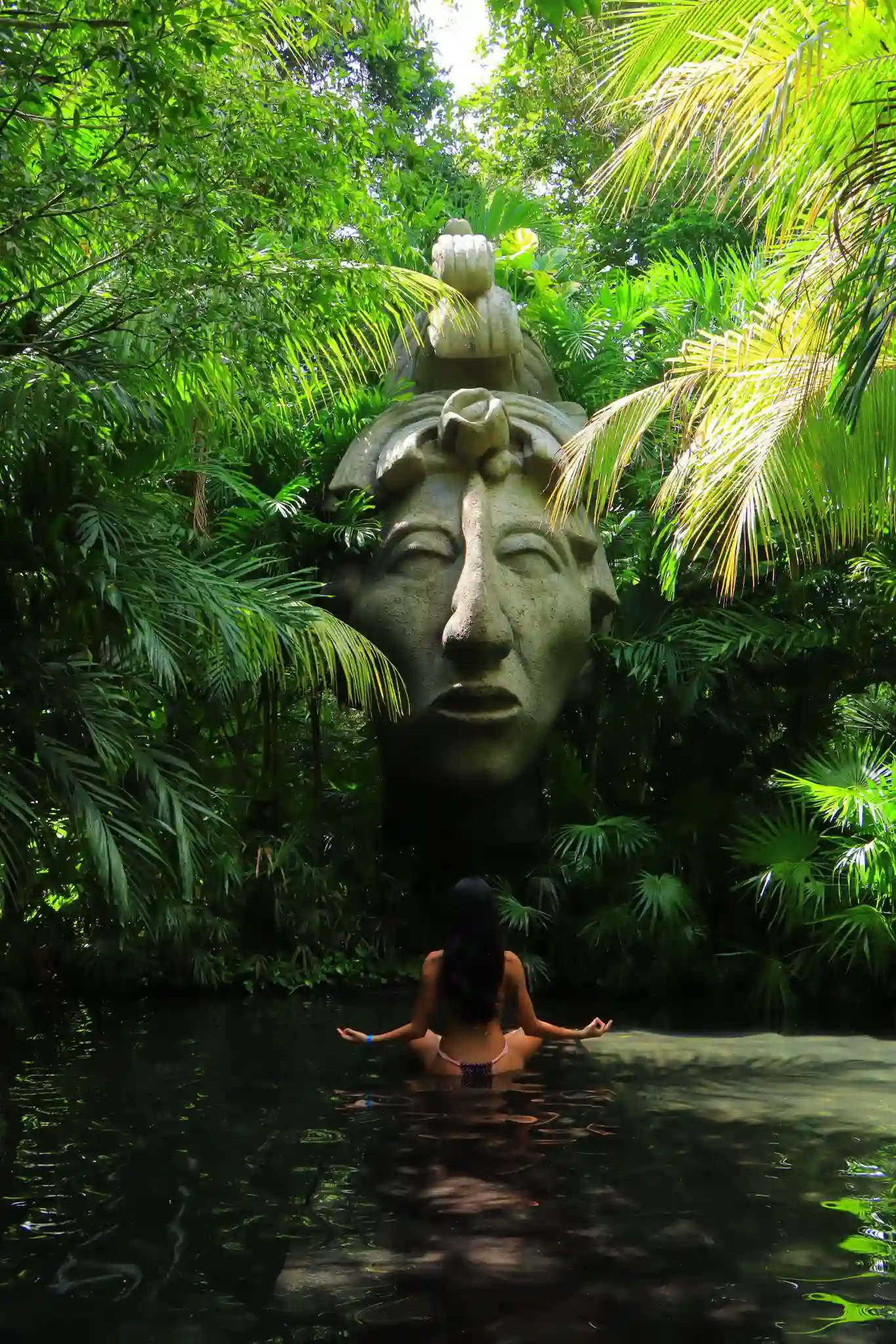 AulonaFlows Hero Background